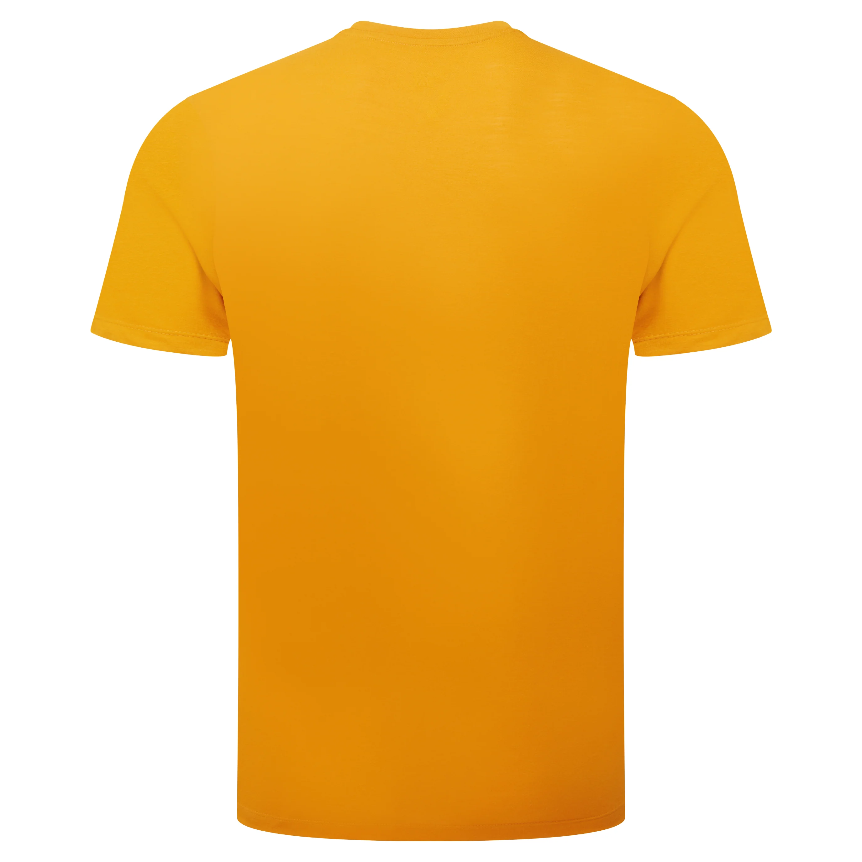 Vintage Mens Tee [SP-007875_STOCK] - Image 4
